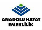 anadolu hayat